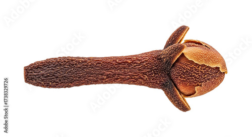 Tableau sur toile Isolated aromatic dried clove for culinary and medicinal use against a plain bac