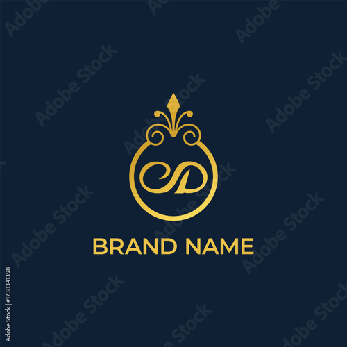 luxury beauty letter CD logo vector