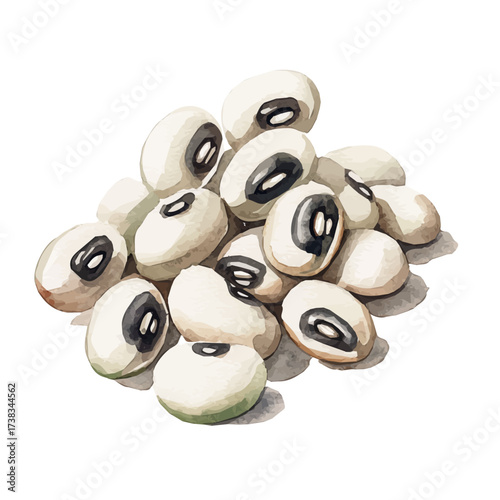 delicately hand-painted with artistic brush strokes, A Watercolor painting of black-eyed peas, minimal layout, white background, vector EPS. vector illustration