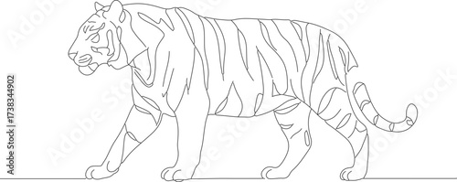 Simple Line Art Tiger Walking Animal Illustration Wild Mammal Design