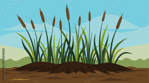 Clusters of marsh grasses stand tall against the wind their roots anchored in the marshy soil.