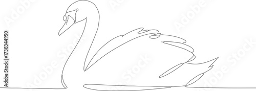 Minimalist Continuous Line Drawing of an Elegant Swan Aquatic Bird