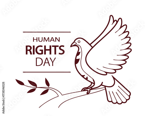 Human Rights Day Dove of Peace with Olive Branch Symbolizing Freedom and Justice for All Humanity Worldwide