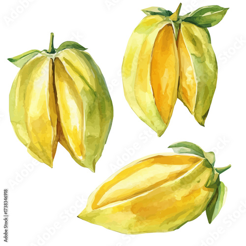 A high-quality illustration watercolor of carambola fruit, with fine brush details, a painting set in watercolor style, plant set, EPS format, hand-drawn, and isolated on a white background