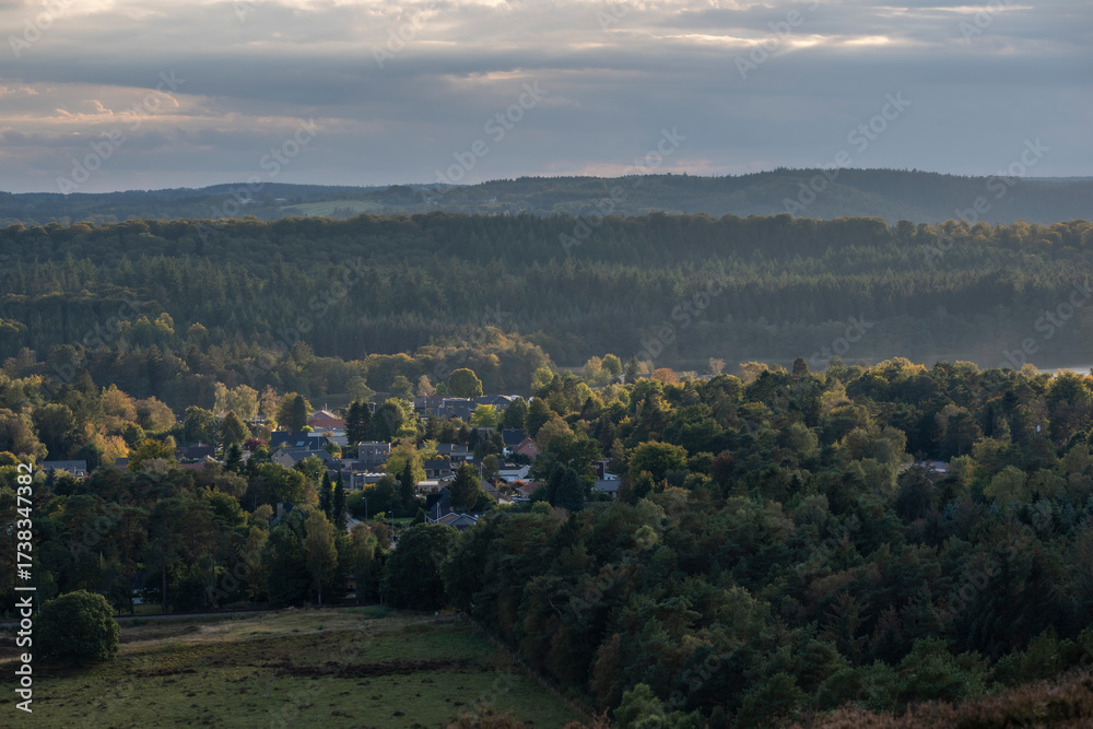 Fototapeta premium Small village in the valley from the top of the heather plantation