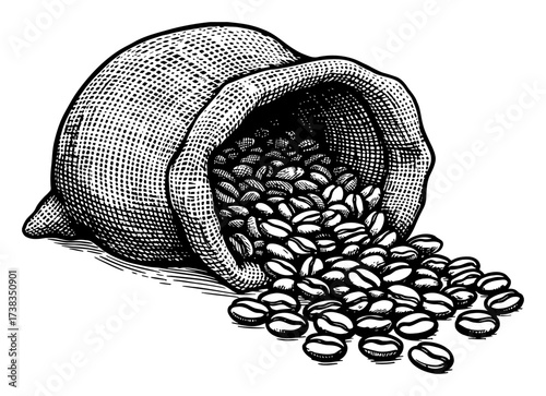 Coffee Beans Spilling Out Of A Burlap Sack Black and White Outline Line Art Drawing Vintage Etching