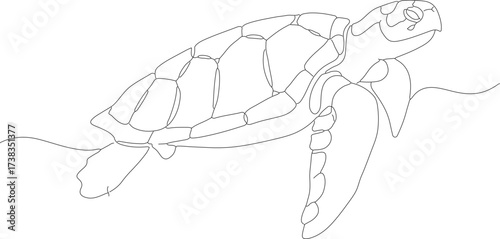 Simple Outline Hand Drawn Sea Turtle Floating in Water Illustration