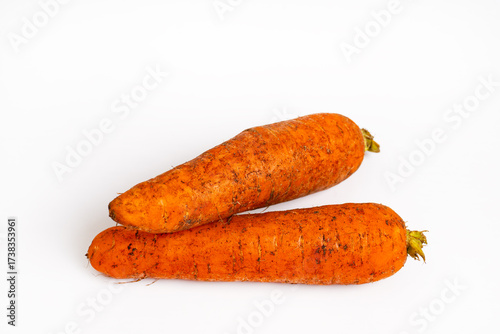 Two fresh dirty carrots. Freshly dug carrots. Dirty carrot with ground isolated on white background.
