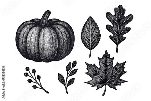 Autumn elements set with pumpkin, herbarium leaves. Grainy photocopy effect. Y2k grunge fall collection with stippling. Black and white dotwork vector illustration pack.