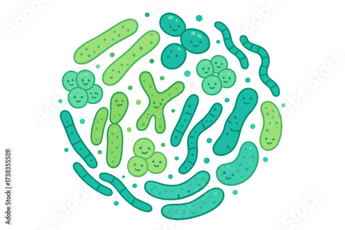 Probiotic bacteria vector icon set. Gut microbiota with healthy prebiotic bacillus. Lactobacillus, acidophilus, bifidobacteria. Healthy intestinal flora for good digestion concept.
