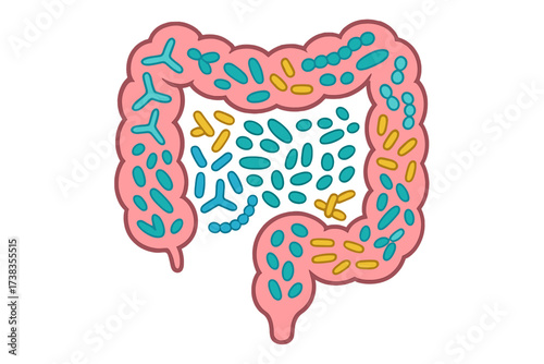 Probiotics in intestine shape. Gut microbiome pattern with bifidobacterium, lactobacillus. Healthy digestive system flora. Prebiotic bacteria vector concept for medical infographic.