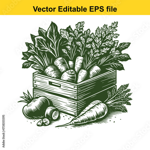 Vector art of wooden crate filled with fresh vegetables and fruits