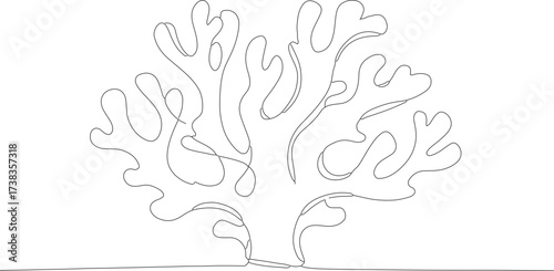 Minimalist One Line Drawing Seaweed Algae Underwater Plant Marine Organism Illustration