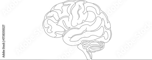 Minimalist Single Line Art Style Human Brain Anatomy Illustration