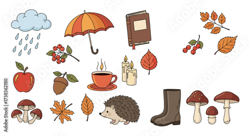 Autumn cozy collection of seasonal elements and nature