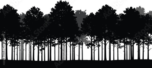 Forest silhouette, layered trees, nature depth, woodland background, black illustration, tree pattern, landscape art, calm scene, natural texture, peaceful view