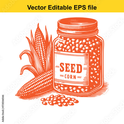 Vector art of jar of corn seeds and corn cob