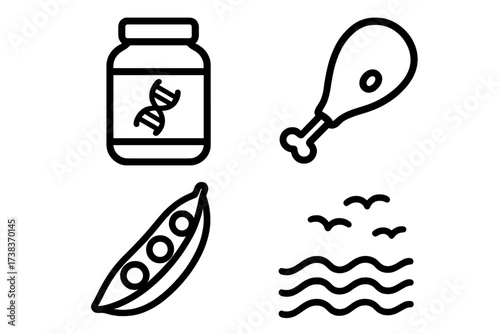 Protein sources vector icon set. Meat, plant-based food, supplements. Chicken drumstick, pea pod, DNA nutrition bottle, sea symbol. Diet, healthy eating, food collection.