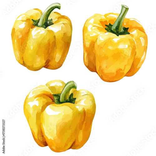 A high-quality watercolor illustration of a yellow bell pepper, with fine brush details, painting set in watercolor style, plant set, EPS format, hand-drawn and isolated on a white background