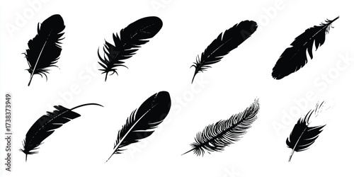 Elegant collection of black feathers on white background providing striking contrast for creative projects and design elements