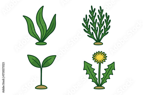 Vector set of green plants and common weeds symbols including dandelion flower with yellow bloom, seedling sprout, seaweed and aquatic algae illustration for eco design