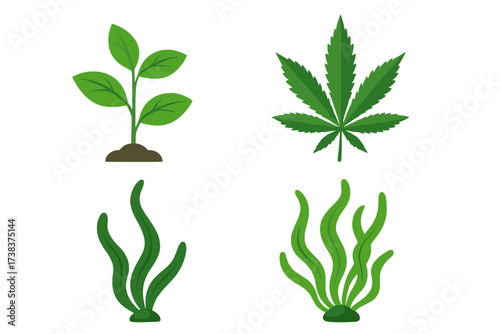 Vector set of green plant and weed symbols including marijuana leaf, seedling, and seaweed illustrations for nature, herbal, and botanical concepts