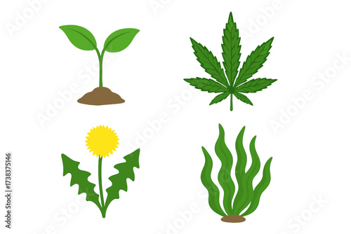 Vector illustration of green plant seedling, cannabis leaf, dandelion flower with jagged leaves, and seaweed algae set. Nature growth symbols, botanical and herbal collection