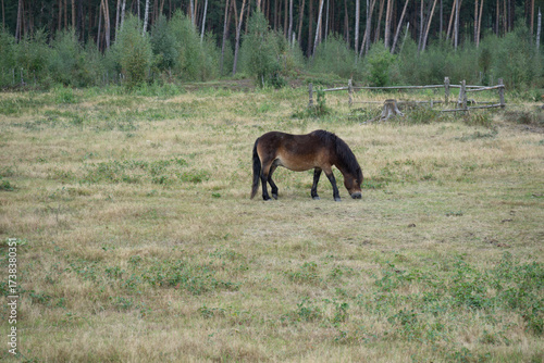 Wallpaper Mural Region Teutoburger Wald Torontodigital.ca