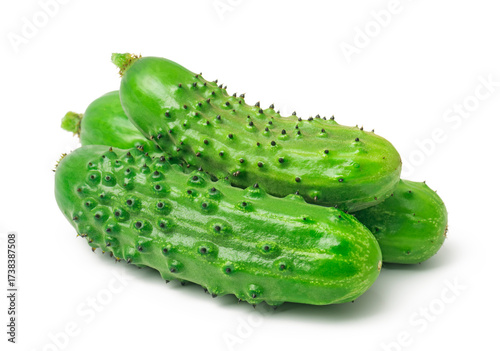  Green ripe cucumber vegetables isolated on white background. Organic food.
