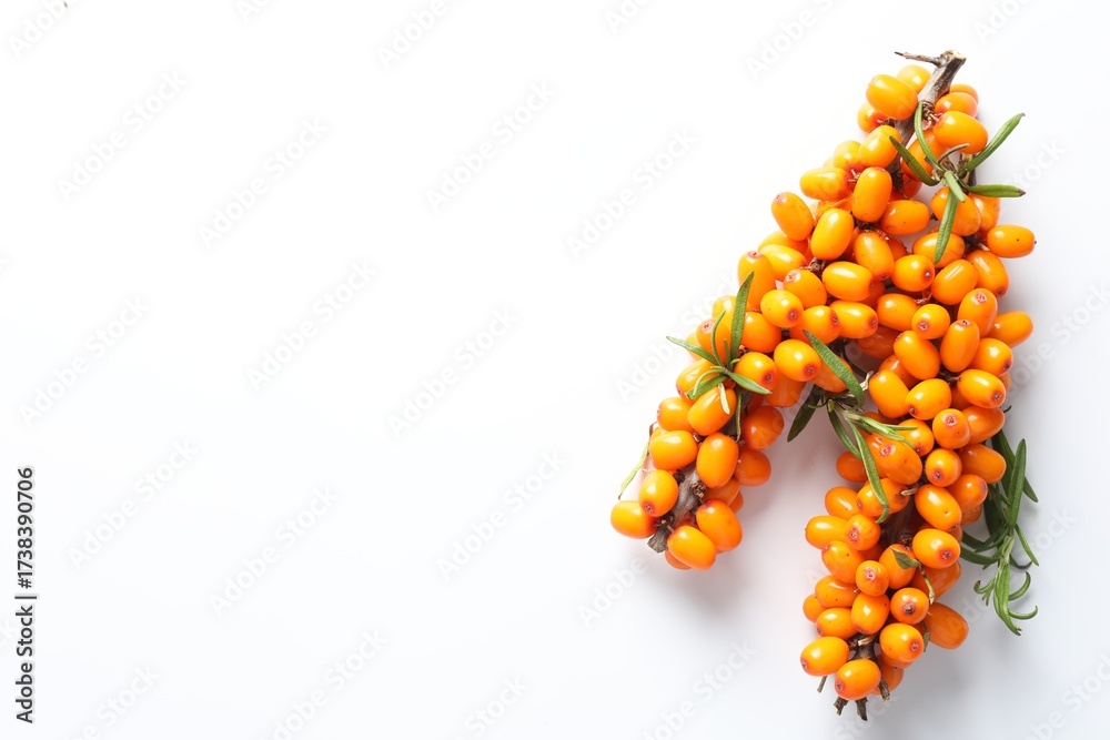 Fototapeta premium Branches with ripe sea buckthorn berries and leaves on white background, top view. Space for text
