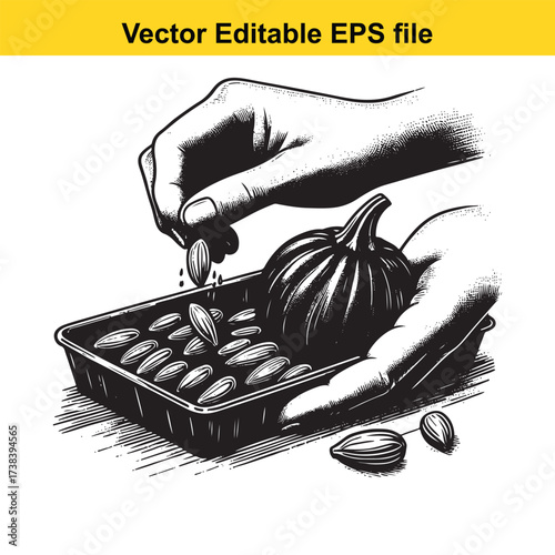 Vector art of hand planting seeds in a tray with a small pumpkin