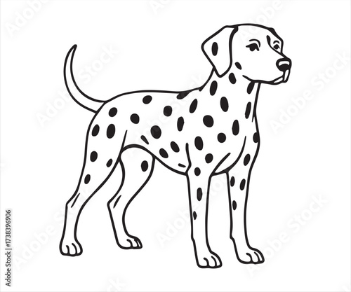 Dalmatian Dog Outline – Cute Spotted Puppy Line Art Drawing