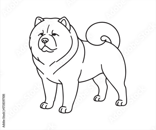 Chow Chow Dog Outline – Cute Fluffy Dog Line Art Drawing