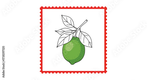 A vibrant green lime fruit with leaves on a branch, depicted in a simple line art illustration with a decorative red border.