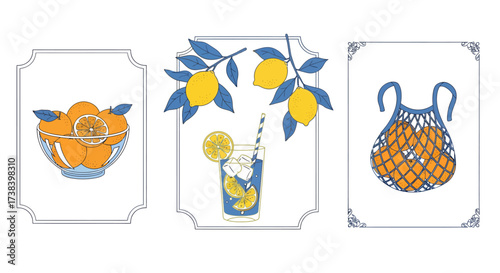 A triptych of illustrations featuring citrus fruits, including a bowl of oranges, a glass of lemonade with lemons on a branch, and a net bag filled with oranges.