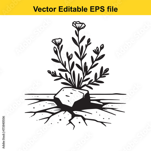 Vector art of a small plant growing from a rock in cracked dry earth