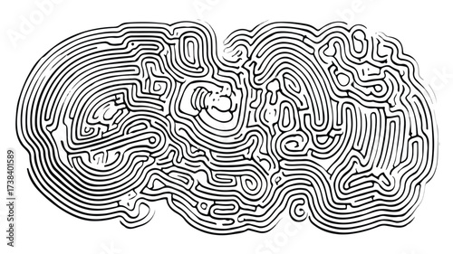Enigmatic Labyrinthine Journey into the Intertwined Enigma