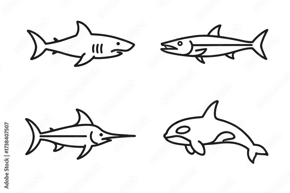 Obraz premium Outline illustrations of shark, tuna, swordfish, and orca