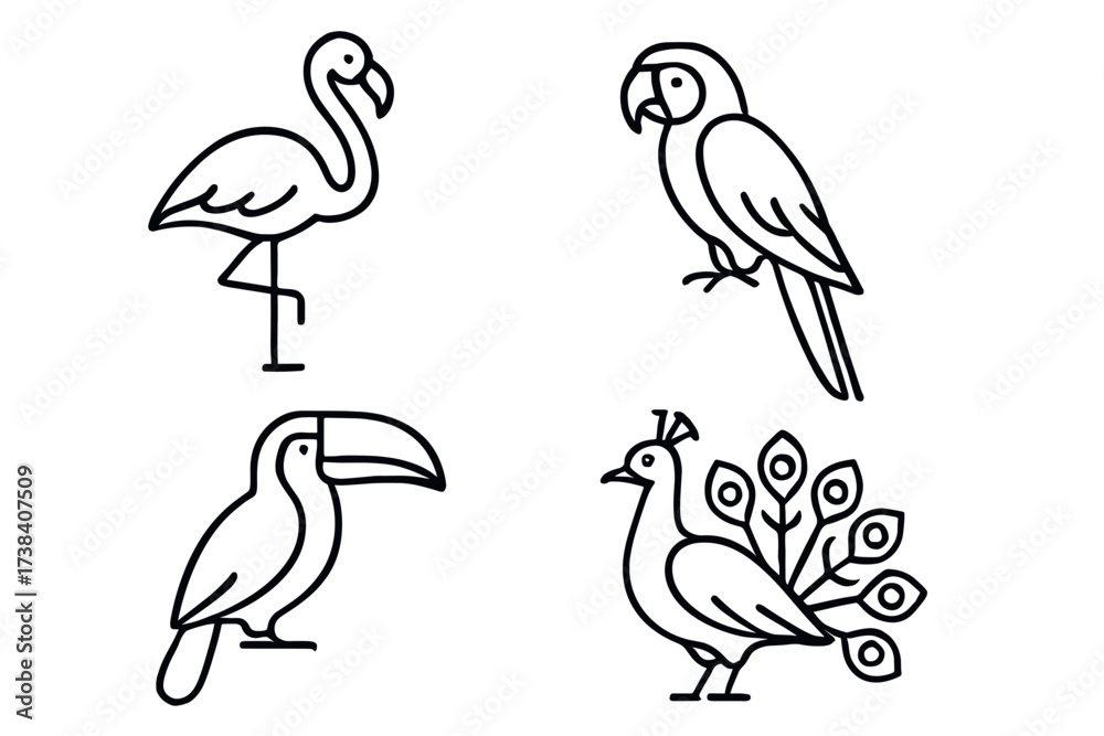Obraz premium Set of simple line art bird icons: flamingo, parrot, toucan, peacock