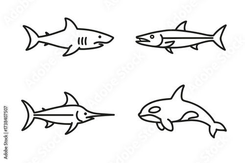 Outline illustrations of shark, tuna, swordfish, and orca