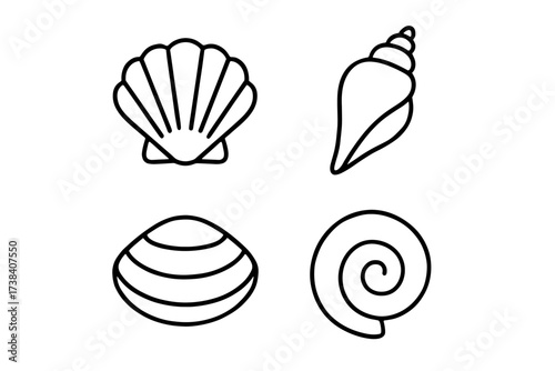Minimalist seashell icon set featuring conch, scallop, clam, and spiral shells