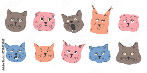 Realistic cat heads in modern flat handdrawn style with detailed faces and clean shapes, a portrait pack for posters, stickers and decorative design.
