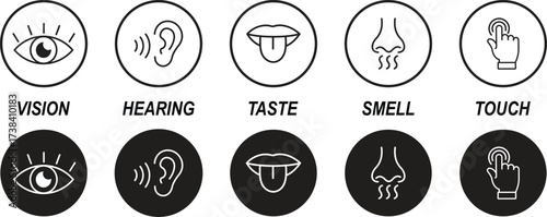 Human senses icon set. Five human senses icons isolated on transparent background. Vision, smell, hearing, touch and taste senses filling sign. Five senses of human nervous system. Vector illustration