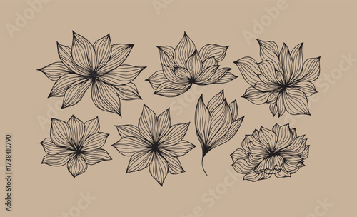 Elegant hand drawn floral illustrations on a kraft paper background