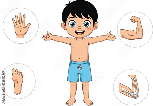 Cartoon child anatomy illustration showing hand, foot, muscle, elbow joint for kids education, body parts learning, medical vector design