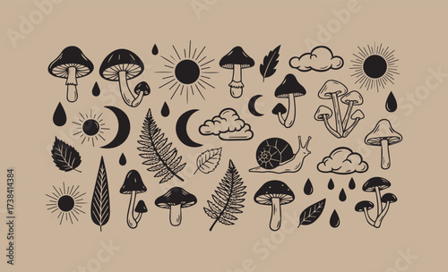 Whimsical woodland and celestial elements illustration