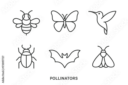 Outline icons of pollinators: bee, butterfly, hummingbird, beetle, bat, moth