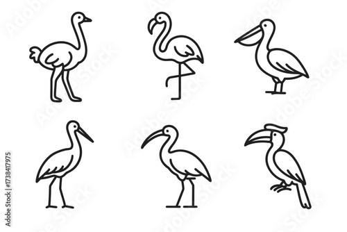 Outline illustrations of various birds including flamingo and pelican