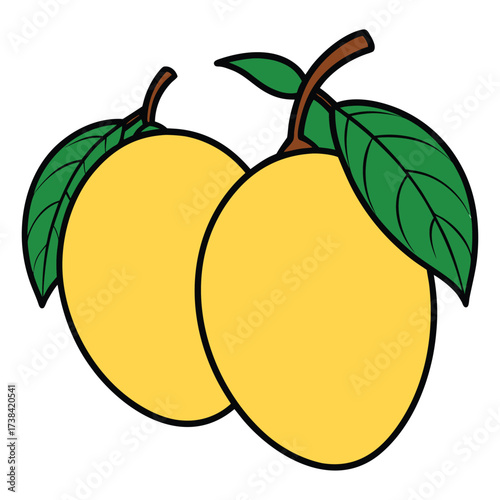 vector illustration of a mango, colorful style