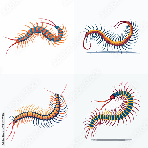 Colorful Centipedes Set.